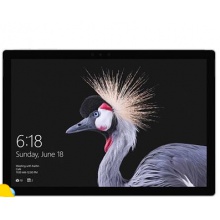 【黑色鍵盤套裝】微軟（Microsoft）新Surface Pro 二合一平板電腦 12.3英寸（Core i7 16G內存 1TB存儲 ）