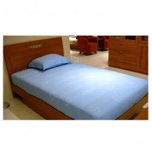  1.9*1米單人床 生態板 帶20cm棕櫚墊